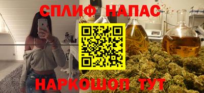 прущие грибы Канаш