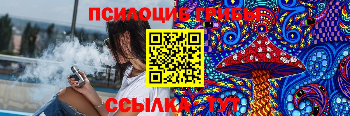 Галлюциногенные грибы Psilocybine cubensis Курчатов